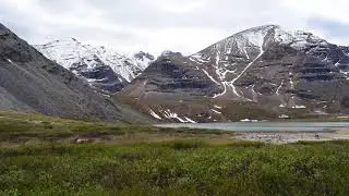 first two weeks on the pan american highway - bc to yukon
