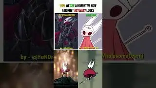 How We See a Hornet vs How a Hornet Actually Looks