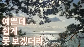 🌊 예쁜데&hellip; 쉽게 못 보겠더라