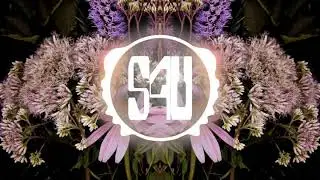 TH3 DARP X Godmode - UNITY (Magic Free Release)[NoCopyright]
