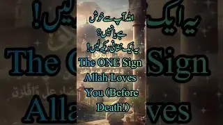The ONE Sign Allah Loves (Before Death!)You #tareeqjamel #islamicscripture #islamictext #hadeespak