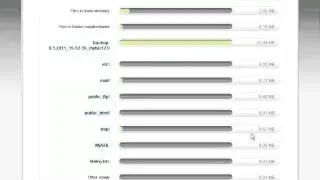 How to view Disk Usage : cPanel 11 by HostCheetah.tv