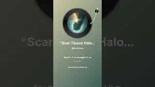 &ldquo;Scar Tissue Halo&rdquo;
