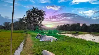 പാലക്കാട്&zwnj; ഗ്രാമം..  Thootha Puzha 360 Video 💗  #insta360 #360video #thootha #thoothapuzha