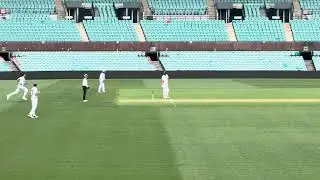 Mitchell Starc Bowling Action - Side On Angle - Regular and Slow Motion Speeds