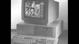 Habergham High School 1995