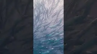 Spectacular Spanish Sardine Swarm at South Skyway Pier | Ken Brann Photography