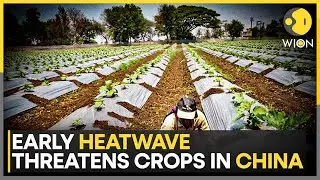 Eastern China Swelters Under Intense Heatwave | World News | WION