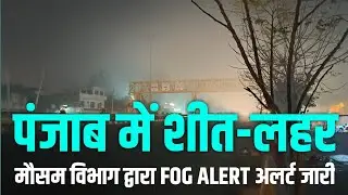 Punjab Weather News: Cold Wave Alert