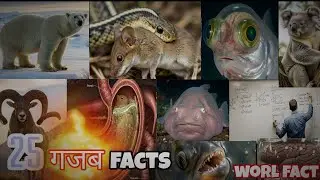 25 Amazing facts || अजीब facts in hindi || hindi facts 