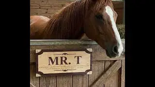 Custom Wooden Horse Stall Markers