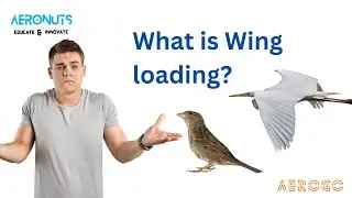 What is Wing loading? || Wing loading examples
