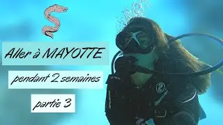 Aller &agrave; Mayotte : Plong&eacute;e sous-marine passe en S 𓆗