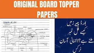 Board Topper papers|| How to get high marks || Board papers|| Topper || Easy way 