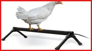 Quality product -  K&H PET PRODUCTS 100539711 Thermo-Chicken Heated Perch, 36 Inches, Black