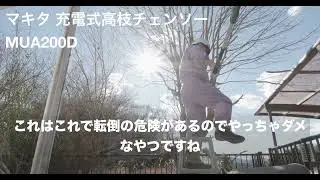 マキタ 充電式高枝チェンソーMUA200Dで庭の木を剪定