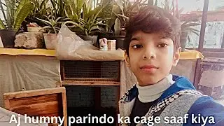 Aj humny parindo ka cage saaf kiya