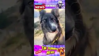 kolaru comedy fun news 🤣|Tm dubbing news| #todaynews #comedy #funny #comedydub #funnews #shorts