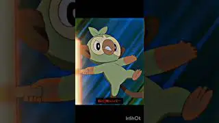 Goh GROOKEY ATTITUDE status #pokemon #ash #pikachu #shortsfeed  #viral #shorts #short