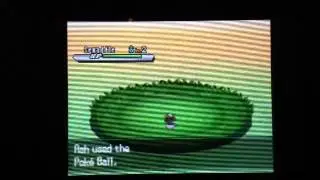 Pokemon black and white 2 how to catch sewaddle