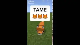 How to tame a FOX in Minecraft - Tips Minecraft