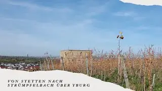 Wanderung im Remstal von Stetten nach Str&uuml;mpfelbach &uuml;ber Yburg