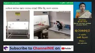 ශාක ප්‍රචාරණය - R 19 (L17) -A/L  Agriculture (කෘෂි විද්‍යාව)