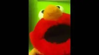 The elmo and lexi show :D