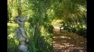 Forest Glade Garden