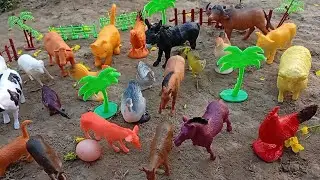 Zoo toy box safari plastic Animal toys review &collectible safari toys 🐎 elephant 🐘🦏