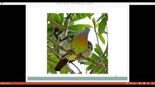 ISPCAN Webinar Series - May 2016 