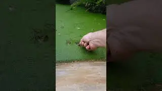 Длинный, но интересный