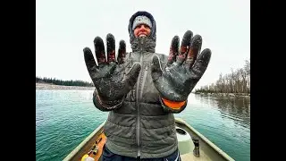 Lake Superior Whitefish... IN MONTANA? Flathead River's Unlikely Game Fish!