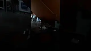 Pintu the pug and his brother Duma throwing tantrums 😜😜🤣🤣