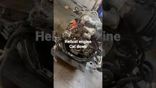 Hellcat down