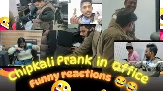Chipkali Prank in Office 🦎😂 | Real Funny Reactions | Rohit Vlog CHD | #office #Comedy & #funny #vlog