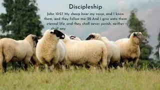 Beach Community Church and Discipleship