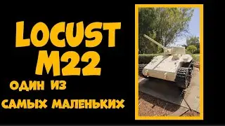 Bender History: Baby Locust M22.
