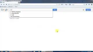 Find Out Where a Zip Code is Located in Google Search Engine
