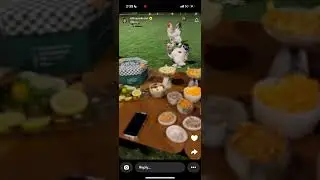 سنابات افنان الباتل 26/11/2024