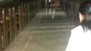 DSCI0344
