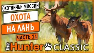 ОХОТА НА ЛАНЬ! | Охотничьи Миссии | theHunter Classic 🐻 | (часть 11)