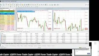 KouLeeFX LQDFX Free Trade Copier for LQDFX Affiliates #LQDFX