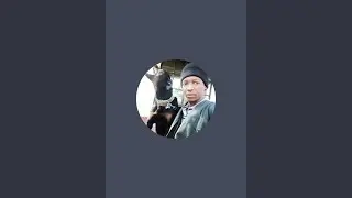 Simon dog trainer is live!