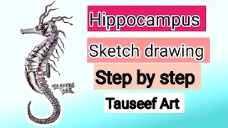 Hippocampus Sketch drawing | Easy Sea Animal Drawing | Tauseef Art