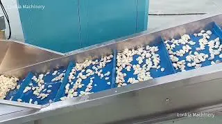 Lonkia Garlic Paste Processing Line