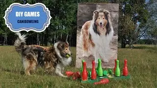 DIY games - Canibowling
