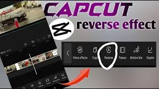 video reverse edit tutorial | capcut tutorial | capcut editing | capcut reverse effect |