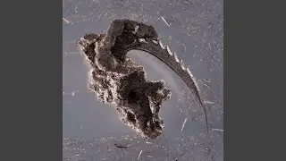 Surface Level