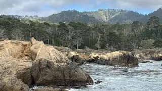 Point Lobos: Epic Cliffs, Ocean Waves & Wildlife! #Wildlife #NatureStream #CoastalBeauty #EpicViews